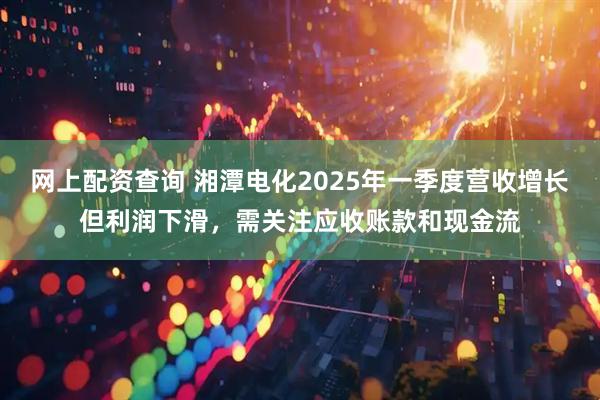 网上配资查询 湘潭电化2025年一季度营收增长但利润下滑，需关注应收账款和现金流