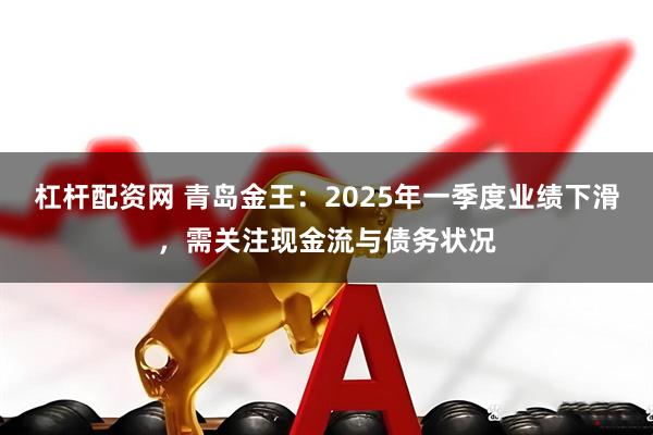 杠杆配资网 青岛金王：2025年一季度业绩下滑，需关注现金流与债务状况
